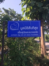 71290689_387629735243573_4732418498305720320_n.jpg - มาบอกบุญทุกท่านค่ะ เรื่องการสร้างเตาเผาศพน้องหมาและน้องแมว มูลนิธิสันติสุขเพื่อสุนัขและแมวจรจัด ได้ท | https://www.santisookdogandcat.org