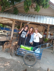 494375560_1008369948108366_8888364791784174407_n.jpg - “ผู้ให้ยิ่งใหญ่เสมอ” ทุกการให้ของท่านไม่สูญเปล่า สิ่งของทุกชิ้น อาหารทุกเม็ด ข้าวสารทุกเม็ด ทุกอย่าง | https://www.santisookdogandcat.org