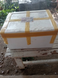 494477192_1008377428107618_8394464678469208028_n.jpg - “ผู้ให้ยิ่งใหญ่เสมอ” ทุกการให้ของท่านไม่สูญเปล่า สิ่งของทุกชิ้น อาหารทุกเม็ด ข้าวสารทุกเม็ด ทุกอย่าง | https://www.santisookdogandcat.org