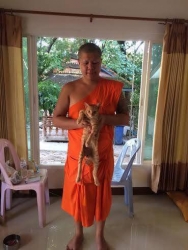 503839201_1029657572646270_5671484242384391021_n.jpg - โครงการทำหมันฟรีสุนัขและแมวจรจัด โดยมูลนิธิสันติสุขเพื่อสุนัขและแมวจรจัด | https://www.santisookdogandcat.org