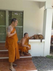 504170563_1029657465979614_7131618483171848284_n.jpg - โครงการทำหมันฟรีสุนัขและแมวจรจัด โดยมูลนิธิสันติสุขเพื่อสุนัขและแมวจรจัด | https://www.santisookdogandcat.org