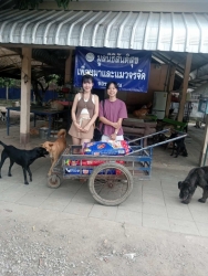 514423981_1053324706946223_1489028768991780832_n.jpg - Thank you ❤️ ขอบพระคุณทุกความเมตตา♀️ ยิ่งทำยิ่งได้ “ยิ่งให้ ยิ่งมี” การให้มีความสุขมากกว่ารับ ✅ | https://www.santisookdogandcat.org