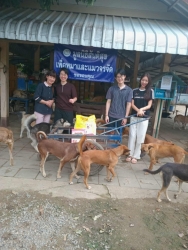 515435828_1071183315160362_1797800106135306708_n.jpg - เดือนของการทำบุญ…ให้ทาน ขอบพระคุณทุกความเมตตา♀️ยิ่งทำยิ่งได้ “ยิ่งให้ ยิ่งมี” การให้มีความสุขมากกว่า | https://www.santisookdogandcat.org