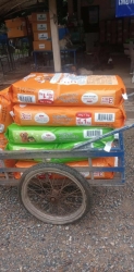 524946169_1071186071826753_6119843628992284017_n.jpg - เดือนของการทำบุญ…ให้ทาน ขอบพระคุณทุกความเมตตา♀️ยิ่งทำยิ่งได้ “ยิ่งให้ ยิ่งมี” การให้มีความสุขมากกว่า | https://www.santisookdogandcat.org