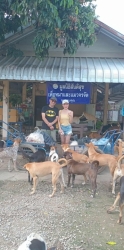 532265366_1083153990629961_181739085655309209_n.jpg - ทุกการให้..ยิ่งใหญ่เสมอ  ขอบพระคุณทุกความเมตตา  “ยิ่งทำยิ่งได้ ยิ่งให้ ยิ่งมี” การให้มีความสุขมากกว่ | https://www.santisookdogandcat.org