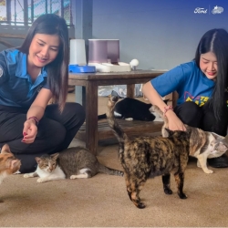 539267932_1096934695918557_4757788403561076795_n.jpg - ฟอร์ด อเมริกันมอเตอร์ เชียงใหม่ ทำด้วยใจ! ให้น้องๆสี่ขา | https://www.santisookdogandcat.org