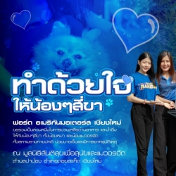 539441002_1096934539251906_6615119456871172496_n.jpg - ฟอร์ด อเมริกันมอเตอร์ เชียงใหม่ ทำด้วยใจ! ให้น้องๆสี่ขา | https://www.santisookdogandcat.org