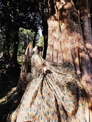 549773217_1114918660786827_3861185813406475311_n.jpg - ขอบคุณสำหรับการสนับสนุนค่ะ Thank you for your support MS.YIJING Donation 50,000฿ | https://www.santisookdogandcat.org