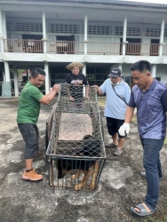 554963532_1116613420617351_7831903770317432598_n.jpg - เสร็จสิ้นโครงการทำหมัน ฉีดวัคซีนพิษสุนัขบ้า มูลนิธิสันติสุขเพื่อสุนัขและแมวจรจัดร่วมกับเทศบาลตำบลเกา | https://www.santisookdogandcat.org