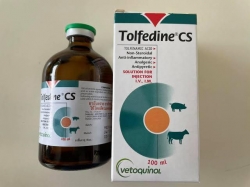 557802951_1121619273450099_1949696591894627183_n.jpg - รับบริจาคเวชภัณฑ์ ✅ ทางมูลนิธิสันติสุขเพื่อสุนัขและแมวจรจัด ขอรับบริจาคเวชภัณฑ์ยา อุปกรณ์ที่จำเป็นแล | https://www.santisookdogandcat.org