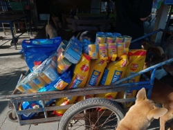 565291110_1133932742218752_2053879206422010018_n.jpg - ทุกการให้..ยิ่งใหญ่เสมอ ขอบพระคุณทุกความเมตตา ยิ่งทำยิ่งได้ “ยิ่งให้ ยิ่งมี” การให้มีความสุขมากกว่าร | https://www.santisookdogandcat.org