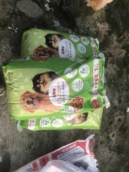 593494676_1173900558221970_5596580461450144207_n.jpg - ทุกการให้..ยิ่งใหญ่เสมอ ขอบพระคุณทุกท่าน“ทุกความเมตตายิ่งทำยิ่งได้“ยิ่งให้ ยิ่งมีการให้มีความสุขมากก | https://www.santisookdogandcat.org