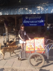 611001113_1199847032293989_5448747055372931333_n.jpg - ทุกการให้..ยิ่งใหญ่เสมอ ขอบพระคุณทุกท่าน“ทุกความเมตตายิ่งทำยิ่งได้“ยิ่งให้ ยิ่งมี การให้มีความสุขมาก | https://www.santisookdogandcat.org