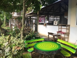 69580275_373846156621931_2269166209003945984_n.jpg - สิ่งที่เราทำ มูลนิธิสันติสุขเพื่อสุนัขและแมวจรจัด บ้านแมว(ดอยสะเก็ด) เป็นที่ตั้งและที่ทำการของมูลนิธ | https://www.santisookdogandcat.org