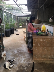69695688_373842456622301_2199335997890625536_n.jpg - สิ่งที่เราทำ มูลนิธิสันติสุขเพื่อสุนัขและแมวจรจัด บ้านแมว(ดอยสะเก็ด) เป็นที่ตั้งและที่ทำการของมูลนิธ | https://www.santisookdogandcat.org