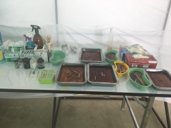 69245467_364444284228785_3282760168529461248_n.jpg - Setup for TNR program Spay/neutering stop Populations Animals Santisook dog and cat rescue foundatio | https://www.santisookdogandcat.org