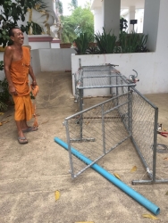 62270944_333614723978408_5784898808261378048_n.jpg - TNR Trap neutering return Program ทำทันที..อย่ามีเดี๋ยว เมื่อพระท่านช่วยทำกรงวางแผนจับน้องหมาเพื่อนำ | https://www.santisookdogandcat.org
