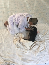 78627077_431209837552229_1182775487273893888_o.jpg - หยุดการแพร่พันธ์น้องหมาน้องแมว เมื่อวานทาง มูลนิธิสันติสุขเพื่อสุนัขและแมวจรจัด ได้ทำหมันน้องหมาน้อง | https://www.santisookdogandcat.org