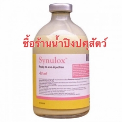 78546826_427013207971892_4923755911203258368_n.jpg - ขอรับบริจาคยา+เวชภัณฑ์ ทางมูลนิธิสันติสุขเพื่อสุนัขและแมวจรจัด มีสุนัขและแมวป่วยที่ต้องดูแลในระยะยาว | https://www.santisookdogandcat.org
