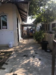 82909231_467255017281044_2775498473305276416_o.jpg - บ้านแมวสันติสุข | https://www.santisookdogandcat.org