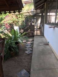 83475062_467254893947723_692066321130586112_o.jpg - บ้านแมวสันติสุข | https://www.santisookdogandcat.org
