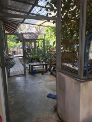 83983893_467254937281052_8308591101418143744_o.jpg - บ้านแมวสันติสุข | https://www.santisookdogandcat.org