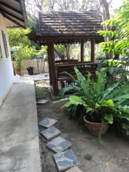 84168336_467254823947730_8078019724912361472_o.jpg - บ้านแมวสันติสุข | https://www.santisookdogandcat.org