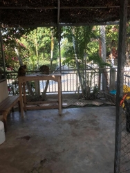 84543164_467255040614375_5036986741072855040_o.jpg - บ้านแมวสันติสุข | https://www.santisookdogandcat.org