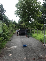104207994_543010296372182_8422238932367410408_o.jpg - จับน้องหมาทำหมัน พิกัดป่าช้าบ้านใหม่ บ้านลวงเหนือ อำเภอดอยสะเก็ด‼️ ในช่วง2เดือนที่ผ่านมา ทางมูลนิธิส | https://www.santisookdogandcat.org