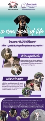 124238189_637691426904068_7747512489563152961_o.jpg - ฝากประชาสัมพันธ์ โครงการ ”ปันน้ำใจ ให้โอกาส” เพื่อมูลนิธิสันติสุขเพื่อสุนัขและแมวจรจัด หากท่านๆเห็นโครงการนี้ ออกบูธ ตามสถานที่ต่างๆท่านสามารถร่วม ”ซื้อสิ้นค้า ของทางโครงการที่จัดทำขึ้น เพื่อหารายได้ช่วยเหลือมูลนิธิ หรือร่วมบริจาคกับทางโครงการได้ค่ะ | https://www.santisookdogandcat.org