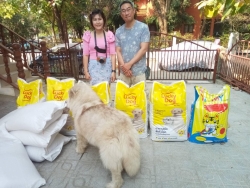152726389_692952278044649_2905809681663174110_o.jpg - การให้ที่ไม่มีวันสิ้นสุด ทางมูลนิธิสันติสุขเพื่อสุนัขและแมวจรจัด ขอขอบพระคุณทุกๆท่านที่เมตตา ไม่ว่าจ | https://www.santisookdogandcat.org