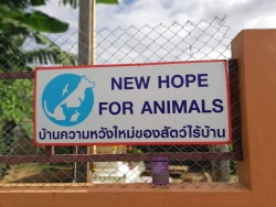 158387958_702039707135906_3113143473988043444_n.jpg - “เราจะไม่ทิ้งกันในยามลำบาก” New Hope For Animals เป็นหนึ่งในศูนย์พักพิงสุนัขไร้บ้าน อีกแห่งหนึ่งในจั | https://www.santisookdogandcat.org