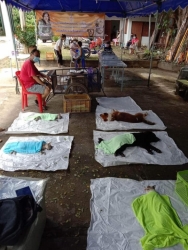 264823121_851422475530961_4097182593186483669_n.jpg - ทำหมันน้องหมาน้องแมว “ฟรี” Sterilization ทางมูลนิธิสันติสุขเพื่อสุนัขและแมวจรจัด ร่วมกับกองสาธารณสุข | https://www.santisookdogandcat.org