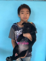 275239258_900507773955764_3471635950350667534_n.jpg - Puppies For Adoption เชิญค่ะ เลี้ยงคนแล้วเหนื่อยใจ หันมารับเลี้ยงเพื่อนที่แสนจะซื่อสัตย์แทน ได้บุญ ไ | https://www.santisookdogandcat.org