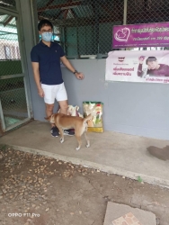 280609580_940212056652002_8692974632329355649_n.jpg - Thank you for all Donations มูลนิธิสันติสุขเพื่อสุนัขและแมวจรจัด ขอบพระคุณทุกๆท่าน ที่เมตตา นำอาหารน้องหมาน้องแมว พร้อมสิ่งของเข้ามาบริจาค และ ทุกๆท่านที่ส่งมาทางพัสดุ ทางมูลนิธิได้รับสิ่งของที่ทุกท่านส่งมอบให้ด้วยใจด้วยความเมตตาและขออภัย | https://www.santisookdogandcat.org