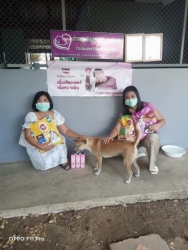 282560026_945678719438669_7452507247431926149_n.jpg - Thank you for all Donations มูลนิธิสันติสุขเพื่อสุนัขและแมวจรจัด ขอบพระคุณทุกๆท่าน ที่เมตตา นำอาหารน้องหมาน้องแมว พร้อมสิ่งของเข้ามาบริจาค และ ทุกๆท่านที่ส่งมาทางพัสดุ ทางมูลนิธิได้รับสิ่งของที่ทุกท่านส่งมอบให้ด้วยใจ | https://www.santisookdogandcat.org