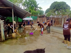 291787105_973085580031316_3843355228884180658_n.jpg - Thank you Ambassador Bilingual School For Volunteers Big cleaning | https://www.santisookdogandcat.org