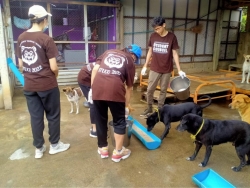 291959845_973086420031232_6132675067304035160_n.jpg - Thank you Ambassador Bilingual School For Volunteers Big cleaning | https://www.santisookdogandcat.org