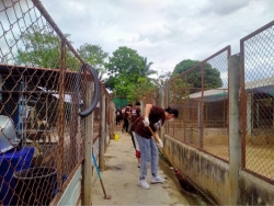 292044751_973086390031235_272912578412812854_n.jpg - Thank you Ambassador Bilingual School For Volunteers Big cleaning | https://www.santisookdogandcat.org