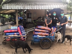 310257709_1030081967665010_5969093603797686864_n.jpg - Thank you for all Donations มูลนิธิสันติสุขเพื่อสุนัขและแมวจรจัด ขอบพระคุณทุกๆท่าน ที่เมตตา นำอาหารน | https://www.santisookdogandcat.org