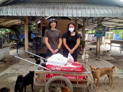 310275354_1030081634331710_294862935980946343_n.jpg - Thank you for all Donations มูลนิธิสันติสุขเพื่อสุนัขและแมวจรจัด ขอบพระคุณทุกๆท่าน ที่เมตตา นำอาหารน | https://www.santisookdogandcat.org
