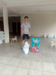 316549307_1067391220600751_4258160729472956068_n.jpg - Thank you for all Donations มูลนิธิสันติสุขเพื่อสุนัขและแมวจรจัด ขอบพระคุณทุกๆท่าน ที่เมตตา นำอาหารน | https://www.santisookdogandcat.org