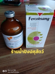 320579845_1599825450454641_190570163625736502_n.jpg - ขอรับบริจาคยา + เวชภัณฑ์ ยาเป็นปัจจัย สำคัญต่อสัตว์ เพื่อช่วยรักษาให้พวกเขาพ้นความเจ็บปวด เมื่อไม่ป่ | https://www.santisookdogandcat.org
