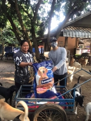 336548223_540430691552799_4707231925509495299_n.jpg - Thank you for all Donations ทุกความเมตตา ทุกความช่วยเหลือของทุกๆท่าน แม้ผู้ที่ไม่ประสงค์ออกนาม ทุกกา | https://www.santisookdogandcat.org