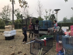 337877747_105474739163730_327656791080330503_n.jpg - Santisook dogs and cats TNR  trap sterilization return Pai Mae Hong Son Thailand over 300 Animals 7 Days Surgery￼￼￼ 5 days Trap. Thank you Everyone | https://www.santisookdogandcat.org