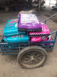 338605153_10010988865593633_5388940208074745625_n.jpg - Thank you for all Donations ทุกความเมตตา ทุกความช่วยเหลือ ของทุกๆท่าน แม้ผู้ที่ไม่ประสงค์ออกนาม ทุกก | https://www.santisookdogandcat.org