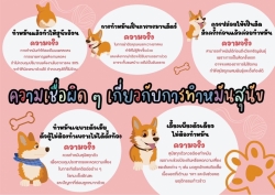 340572983_2342096209303884_5118857112397531805_n.jpg - ความเชื่อผิดๆ เกี่ยวกับการทำหมันสุนัข | https://www.santisookdogandcat.org