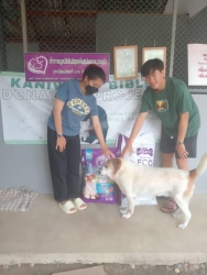 340901028_747245270214606_5271091206537119836_n.jpg - Thank you for all Donations ทุกความเมตตาทุกความช่วยเหลือ ของทุกๆท่าน แม้ผู้ที่ไม่ประสงค์ออกนาม ทุกการให้ สิ่งของ ทั้งที่มามอบด้วยตัวท่านเองและ ส่งมาทางพัสดุ อาหาร ที่เกี่ยวกับสัตว์ | https://www.santisookdogandcat.org