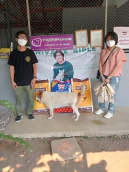 341080384_480255430897447_7669182426846464701_n.jpg - Thank you for all Donations ทุกความเมตตาทุกความช่วยเหลือ ของทุกๆท่าน แม้ผู้ที่ไม่ประสงค์ออกนาม ทุกการให้ สิ่งของ ทั้งที่มามอบด้วยตัวท่านเองและ ส่งมาทางพัสดุ อาหาร ที่เกี่ยวกับสัตว์ | https://www.santisookdogandcat.org