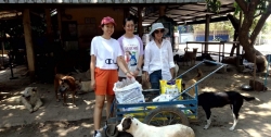 345425194_1336565353558101_3964217696464077936_n.jpg - Thank you for all Donations ทุกความเมตตา ”ทุกความช่วยเหลือ” ของทุกๆท่าน แม้ผู้ที่ไม่ประสงค์ออกนาม | https://www.santisookdogandcat.org